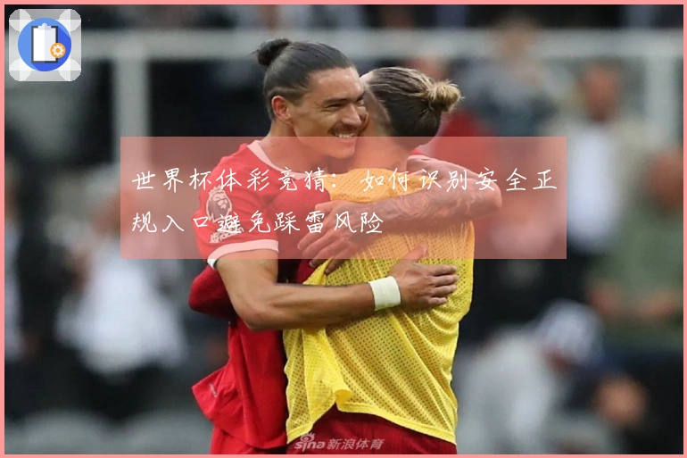 世界杯体彩竞猜：如何识别安全正规入口避免踩雷风险